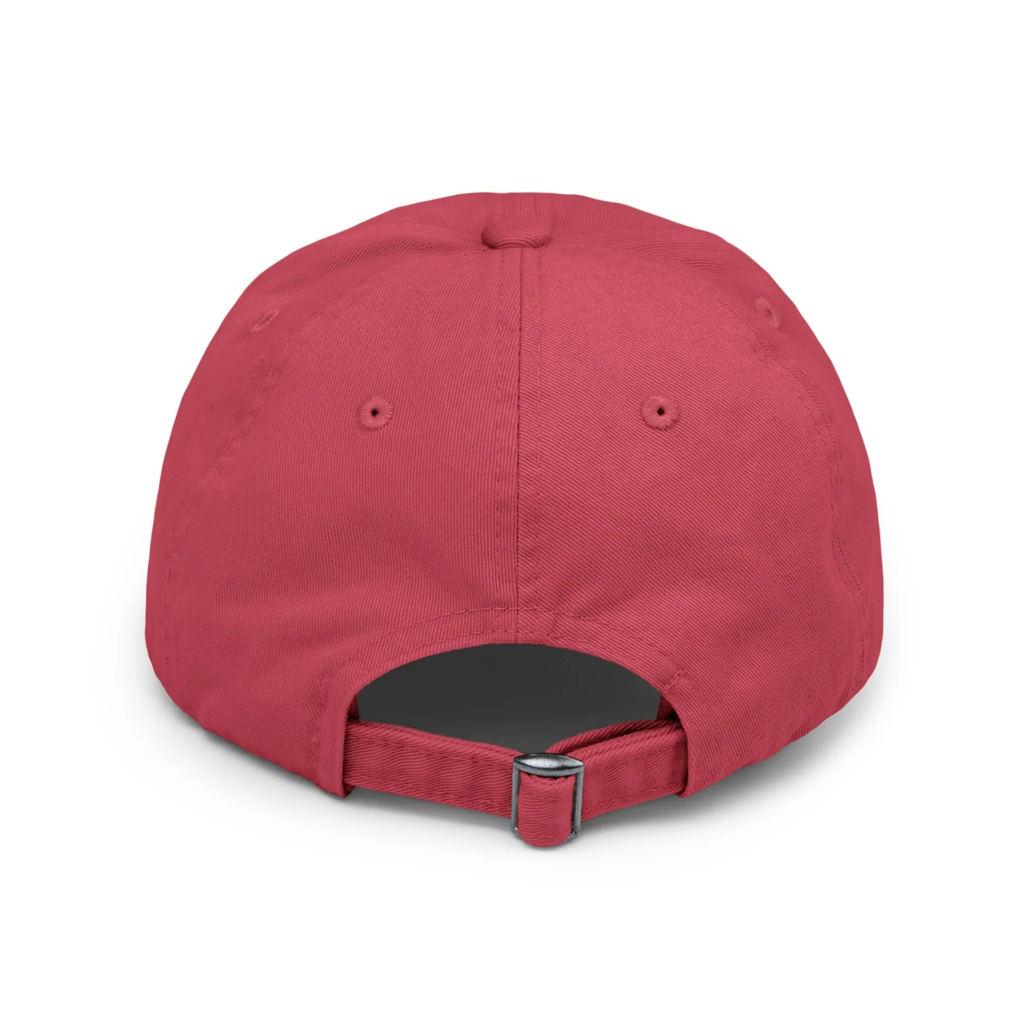 BACK DOOR Distressed Cap in 6 colors