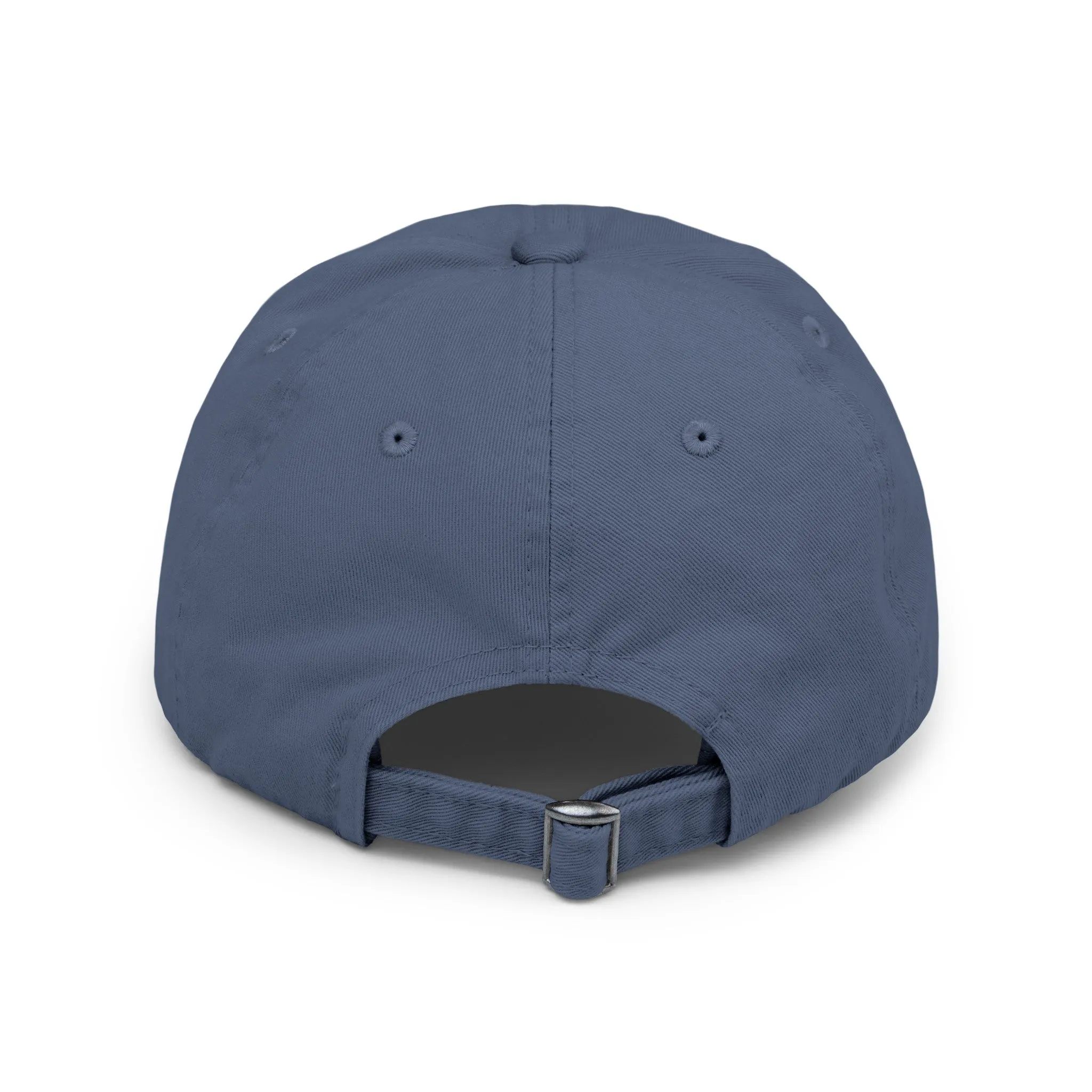 BACK DOOR Distressed Cap in 6 colors