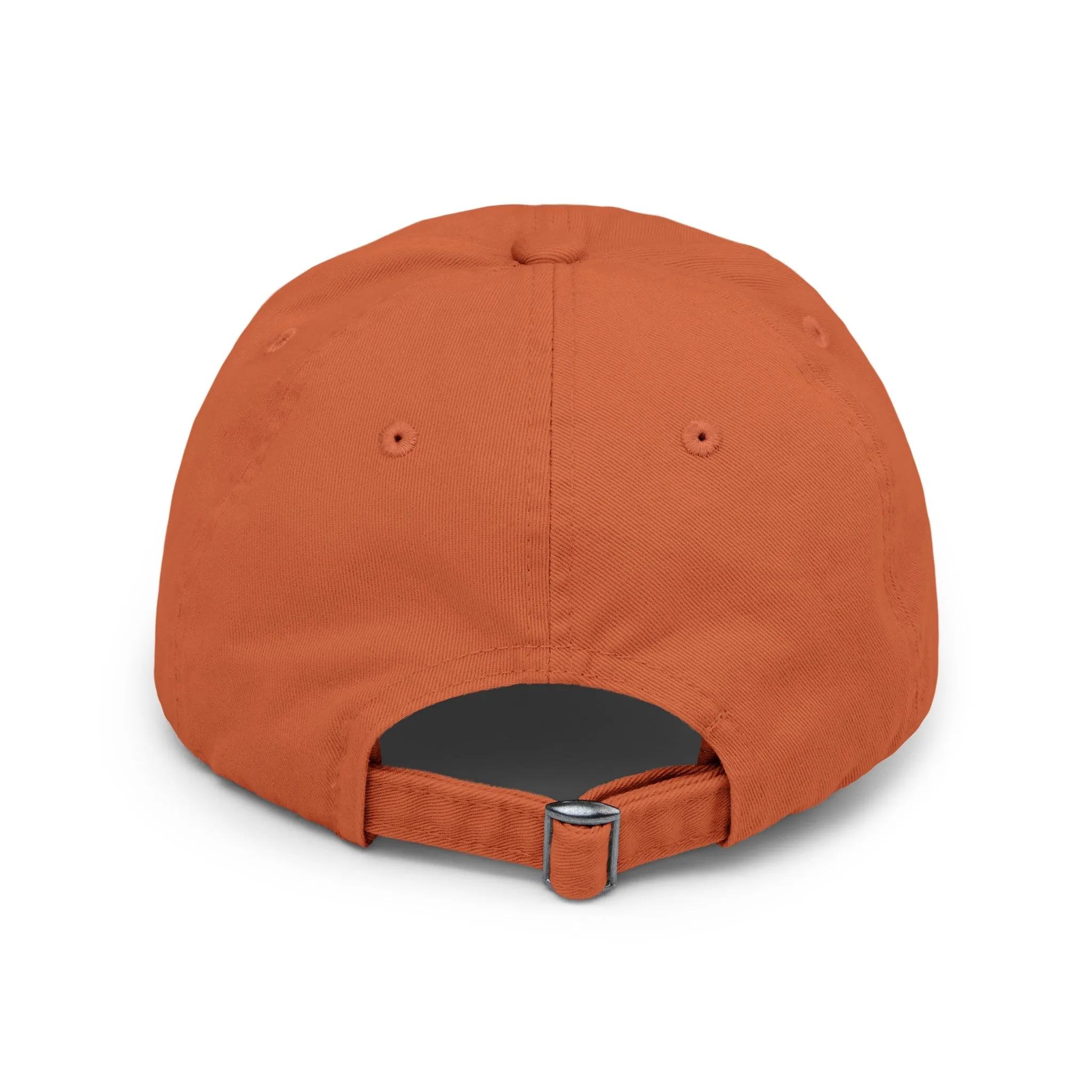 BACK DOOR Distressed Cap in 6 colors