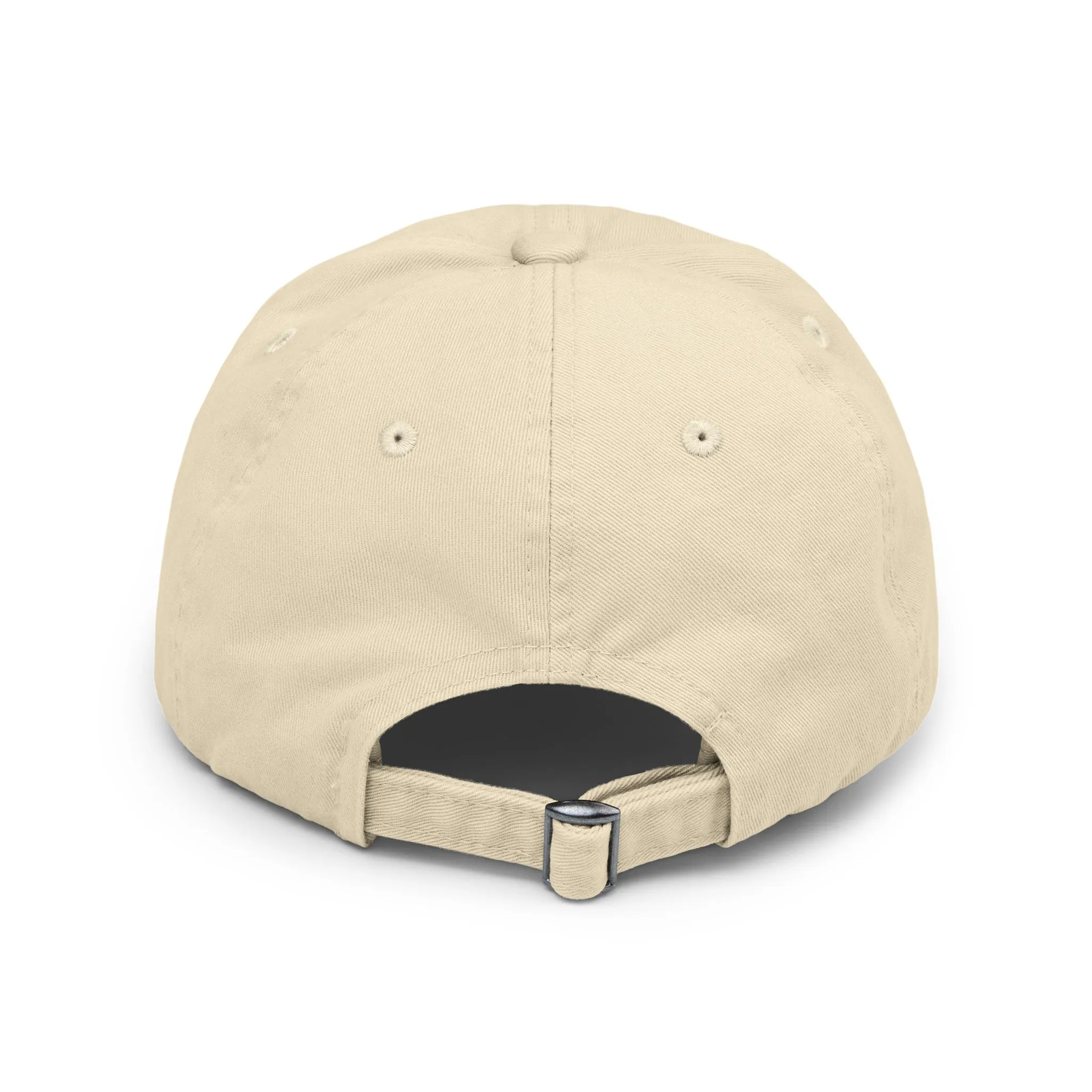 BACK DOOR Distressed Cap in 6 colors