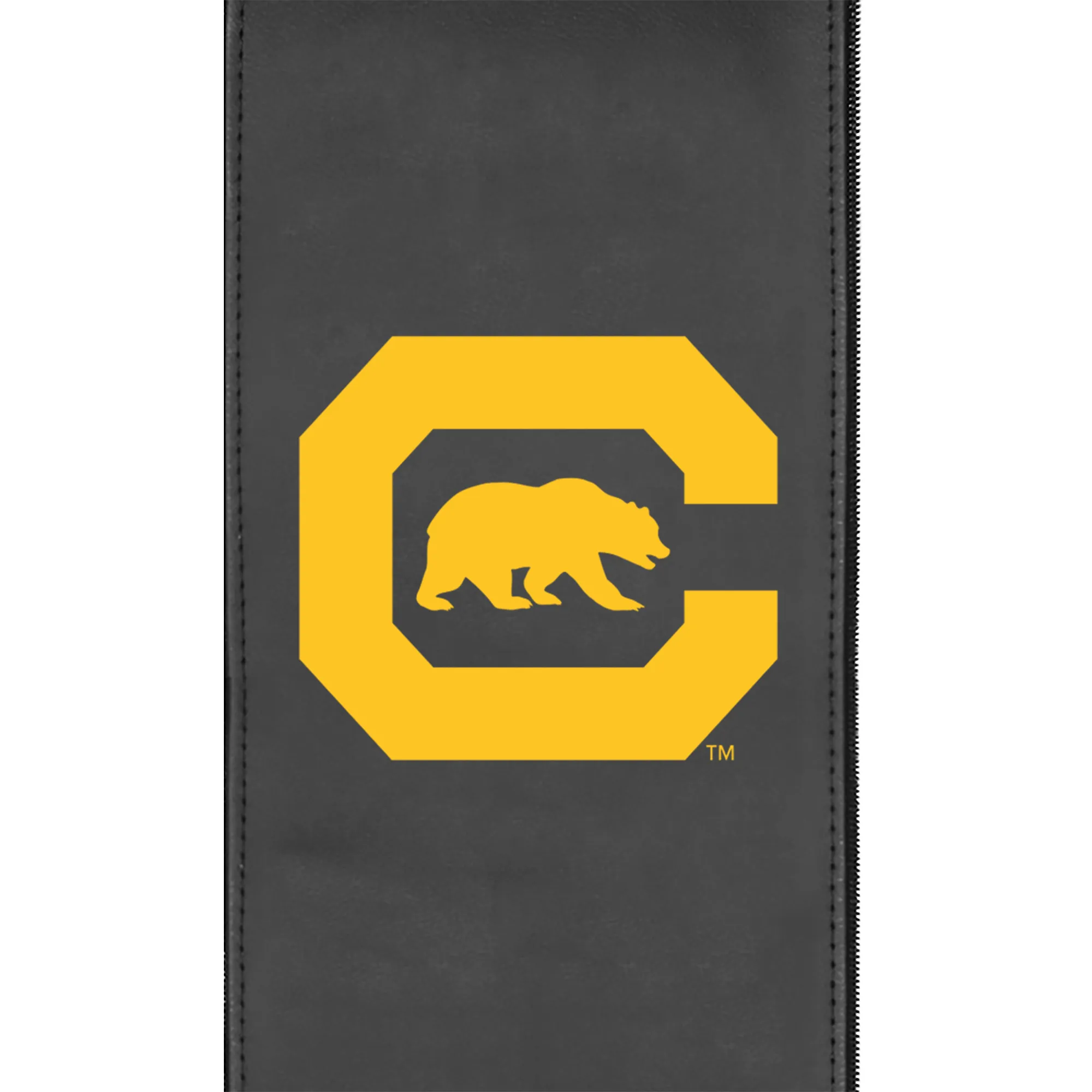 California Golden Bears Secondary Logo Panel