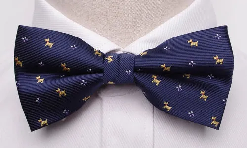 Classy Men Blue Fancy Bow Tie