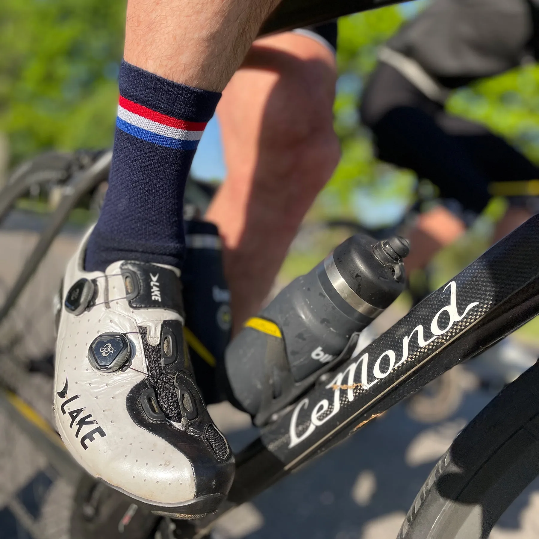 Cyclismo 6" Stripes