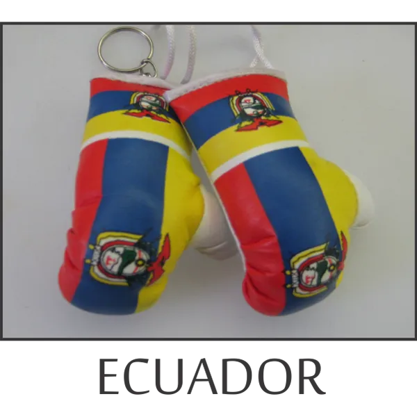 Ecuador Mini Boxing Glove