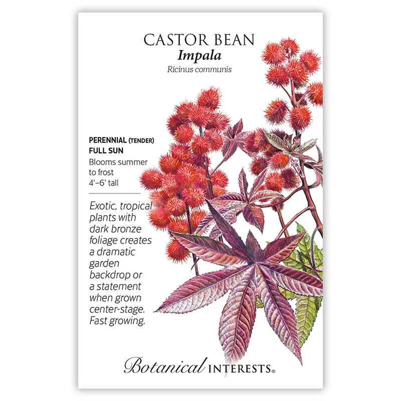 Impala Castor Bean Seeds