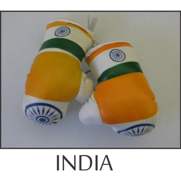 India Mini Boxing Glove