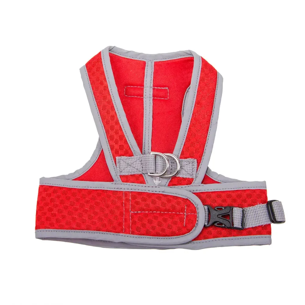 Step Easy Reflective Mesh Harness Teacup to 35 LBS