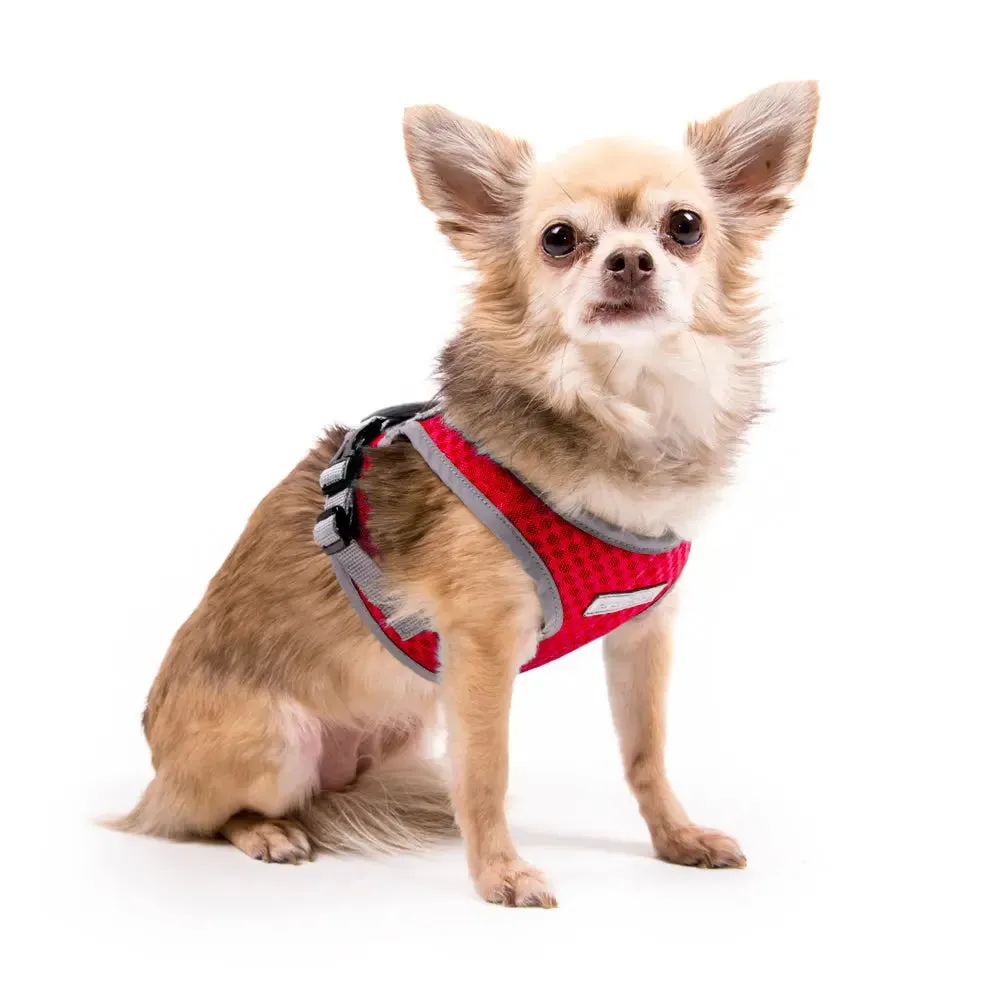 Step Easy Reflective Mesh Harness Teacup to 35 LBS